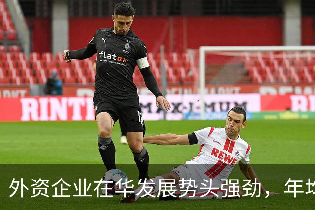 外资企业在华发展势头强劲，年均新增就业超三千万